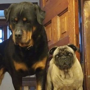 Meet your Posher, Michael